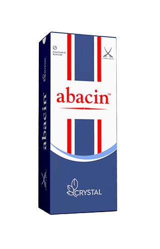 Abacin by Crystal Abacin by Crystal