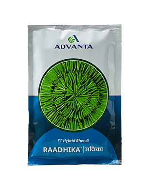 Advanta Bhindi Radhika