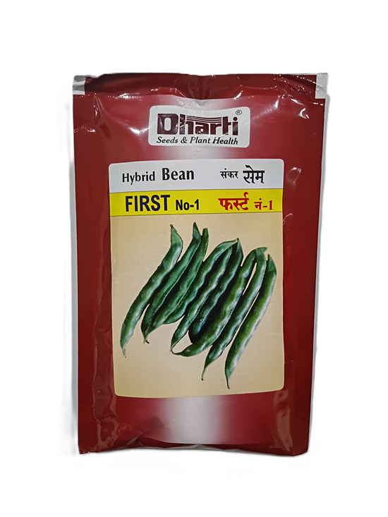 Beans First by Dharti Seeds Beans First by Dharti Seeds