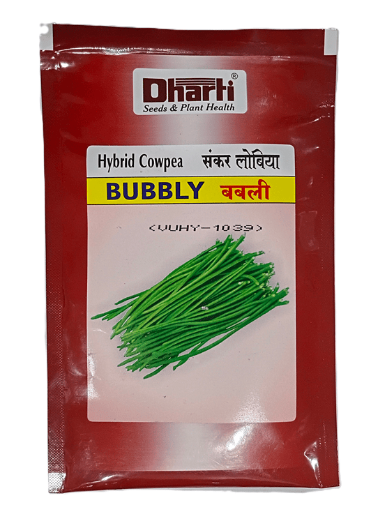 Cowpea Bubbly Seeds by Dharti Seeds Cowpea Bubbly Seeds by Dharti Seeds