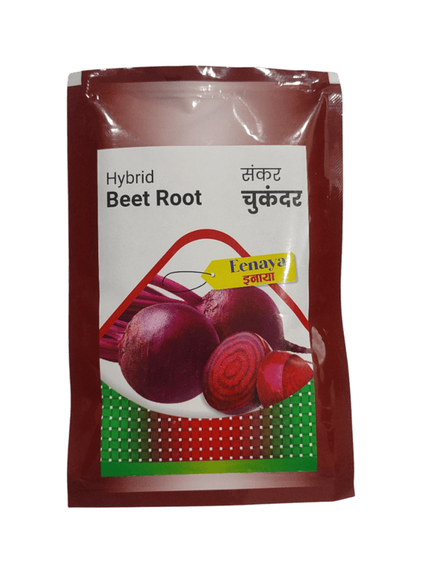 Hybrid Beet Root Eenaya by Dharti Seeds Hybrid Beet Root Eenaya by Dharti Seeds