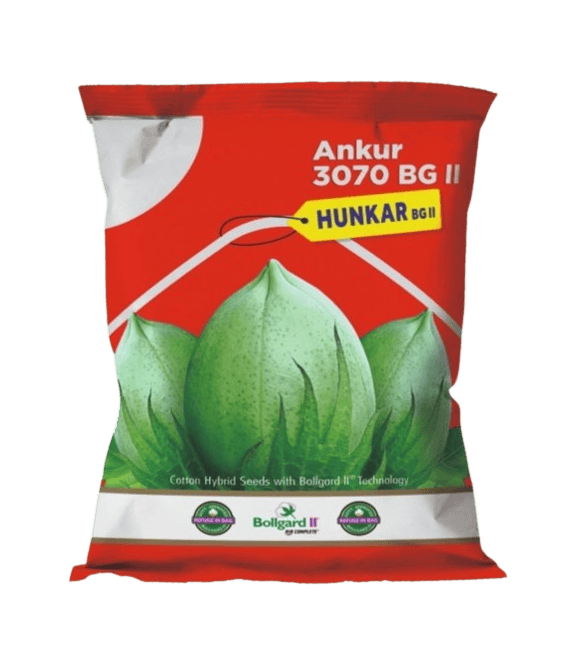 Cotton Ankur 3070 Hunkar -475gm by Dharti Seeds Cotton Ankur 3070 Hunkar -475gm by Dharti Seeds