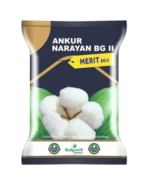 Cotton Merit -475gm by Dharti Seeds Cotton Merit -475gm by Dharti Seeds