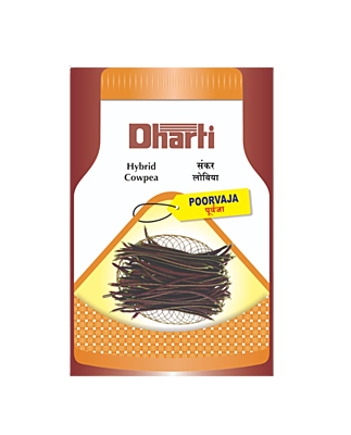 Cowpea Poorvaja Seeds by Dharti Seeds
