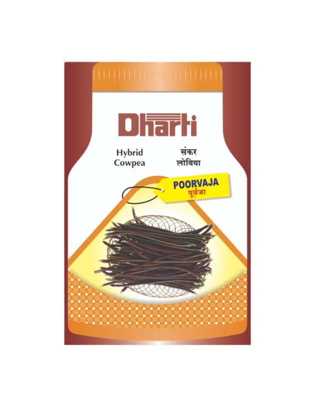 Cowpea Poorvaja Seeds by Dharti Seeds Cowpea Poorvaja Seeds by Dharti Seeds