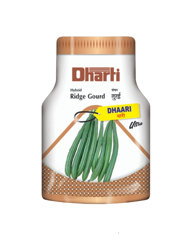 Ridgegourd Dhaari Ultra by Dharti Seeds Ridgegourd Dhaari Ultra by Dharti Seeds