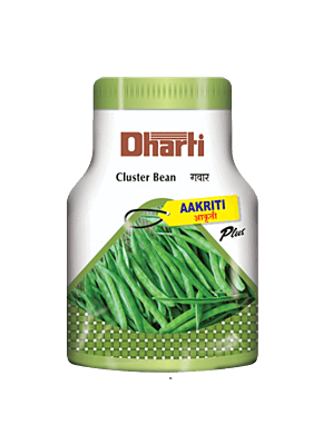 Cluster Bean AAKRITI plus by Dharti Seeds