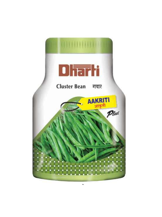 Cluster Bean AAKRITI plus by Dharti Seeds Cluster Bean AAKRITI plus by Dharti Seeds