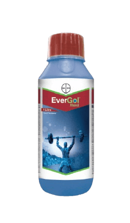 EverGol Xtend by Bayer crop science EverGol Xtend by Bayer crop science