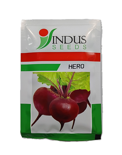 HERO ( HYBRID BEET) by INDUS SEEDS HERO ( HYBRID BEET) by INDUS SEEDS