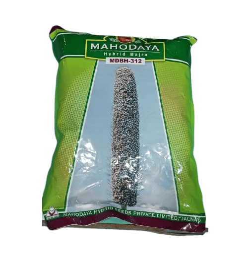 Hybrid Bajara MDBH-312 by Mahodaya Seeds Hybrid Bajara MDBH-312 by Mahodaya Seeds