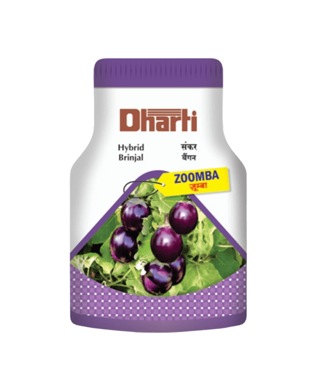 Hybrid Brinjal ZOOMBA by Dharti Seeds