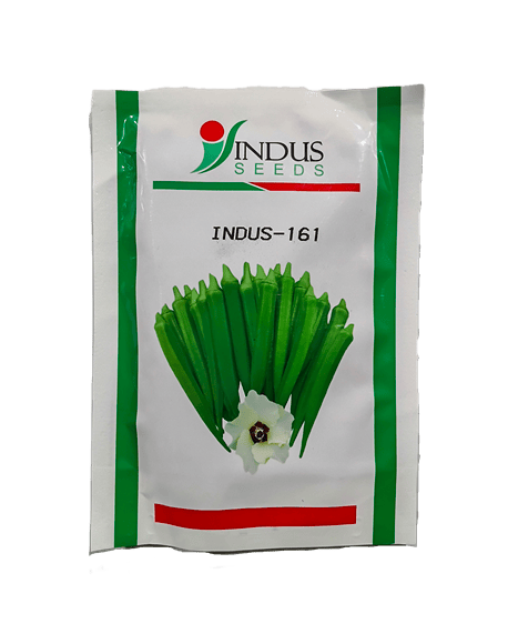 Hy Bhindi INDUS-161 by INDUS SEEDS Hy Bhindi INDUS-161 by INDUS SEEDS