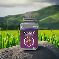 KADETT by PI Industries KADETT by PI Industries