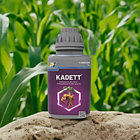 KADETT by PI Industries KADETT by PI Industries