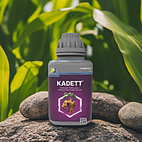 KADETT by PI Industries KADETT by PI Industries