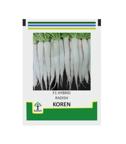 Koren Radish Seeds - 50-60 Days Maturity, 35-40 cm White Roots | Kalash
