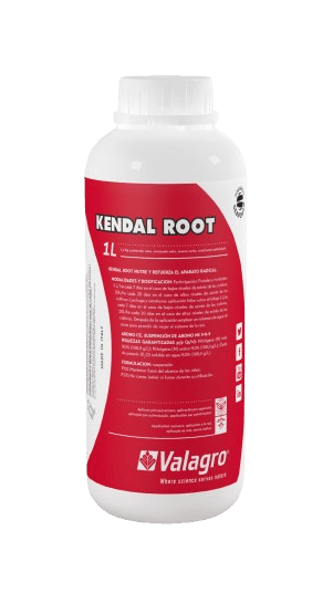 Kendal Root by Valagro Kendal Root by Valagro
