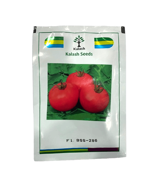 BSS-286 F1 Tomato Hybrid Seeds by Kalash Seeds BSS-286 F1 Tomato Hybrid Seeds by Kalash Seeds