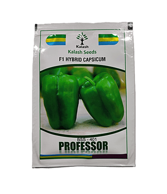 F1 Hybrid Capsicum BSS-401 PROFESSOR by Kalash Seeds