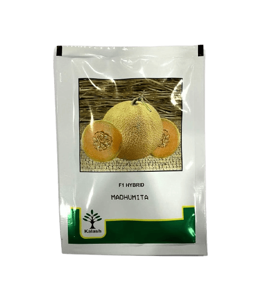 Muskmelon Madhumita by Kalash Seeds Muskmelon Madhumita by Kalash Seeds