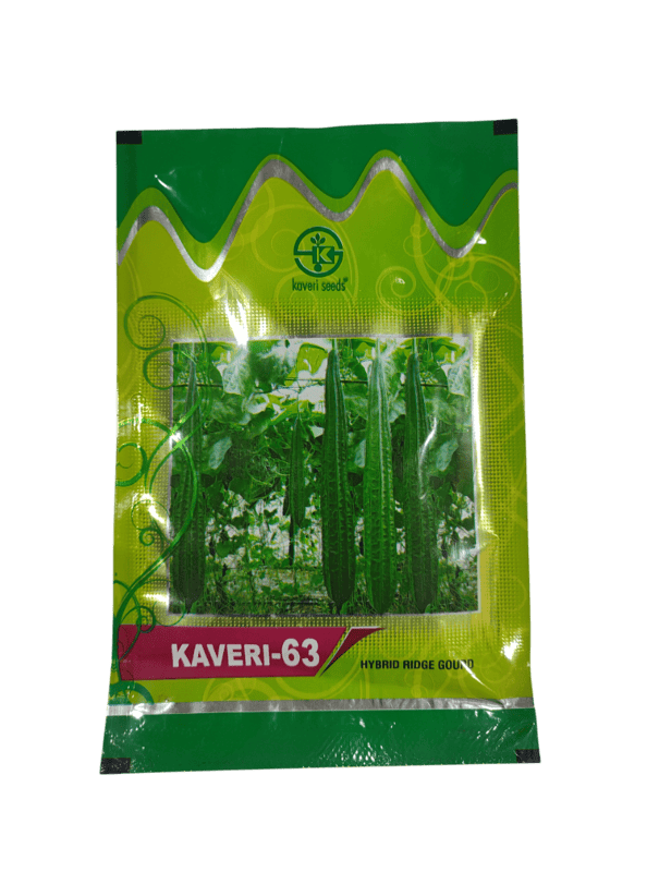 Hybrid Ridge Gourd KAVERI-63 by Kaveri Seed Company Limited Hybrid Ridge Gourd KAVERI-63 by Kaveri Seed Company Limited
