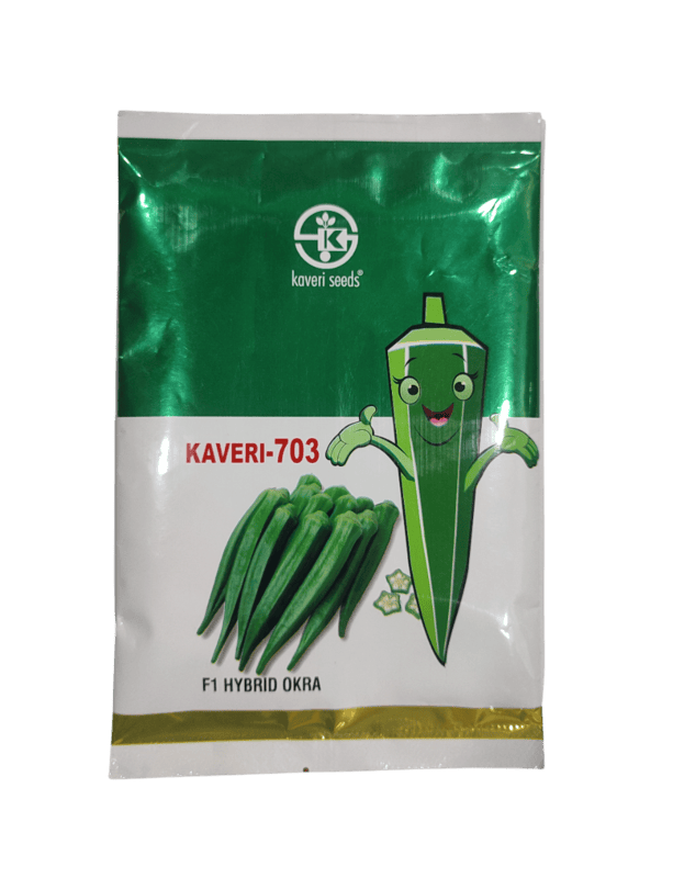 F1 Hybrid Okra KAVERI-703 by Kaveri Seed Company Limited F1 Hybrid Okra KAVERI-703 by Kaveri Seed Company Limited