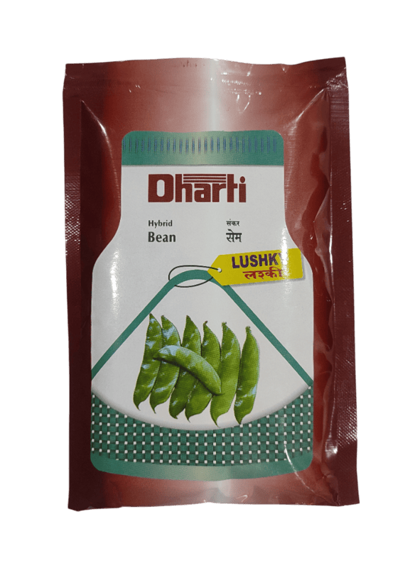 Hybrid Bean LUSHKY by Dharti Seeds Hybrid Bean LUSHKY by Dharti Seeds
