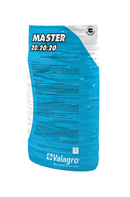 Master 20.20.20 by Valagro