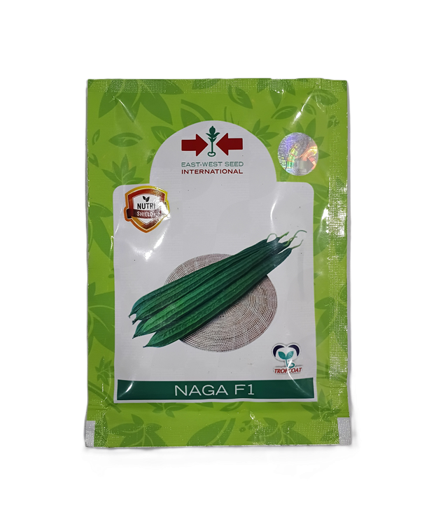 NAGA F1 (F1 HYBRID RIDGE GOURD) by EAST-WEST SEED INTERNATIONAL NAGA F1 (F1 HYBRID RIDGE GOURD) by EAST-WEST SEED INTERNATIONAL
