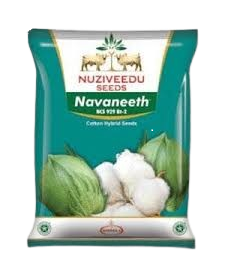Nuziveedu Cotton Seeds Navaneet NCS 929 BG II Nuziveedu Cotton Seeds Navaneet NCS 929 BG II