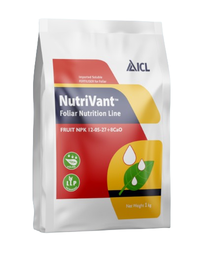Nutrivant Fruit NPK 12-05-27 + 8Cao by ICL Nutrivant Fruit NPK 12-05-27 + 8Cao by ICL
