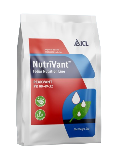 Nutrivant Peakvant NPK 00-49-32 by ICL
