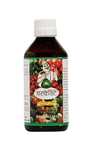 Perfekt Herbal Crop Enhancer by Global Green Agrinova Perfekt Herbal Crop Enhancer by Global Green Agrinova