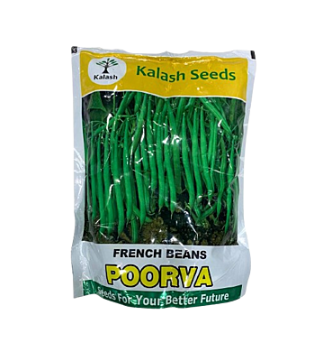 Poorva French Beans by Kalash Seeds