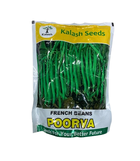 Poorva French Beans by Kalash Seeds Poorva French Beans by Kalash Seeds