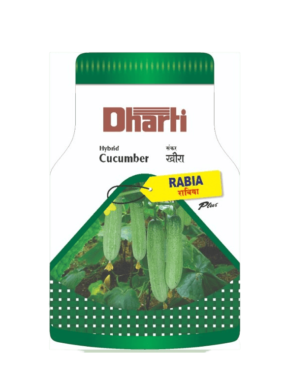 Hybrid Cucumber RABIA by Dharti Seeds Hybrid Cucumber RABIA by Dharti Seeds