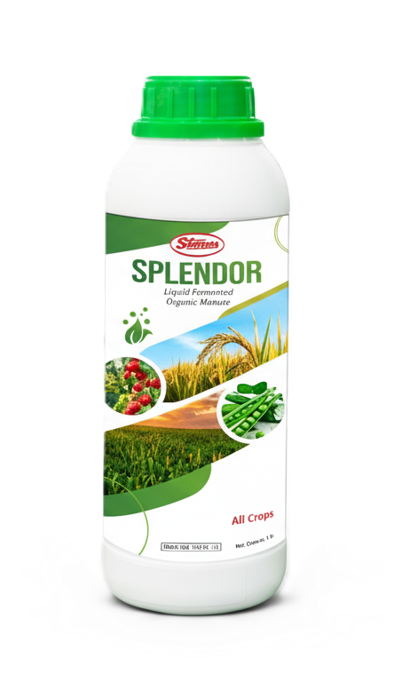 SPLENDOR by T. Stanes and Company SPLENDOR by T. Stanes and Company