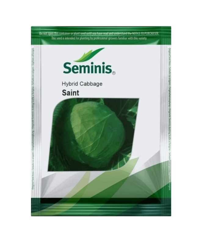 Hybrid Cabbage Saint by BAYER Seminis Hybrid Cabbage Saint by BAYER Seminis
