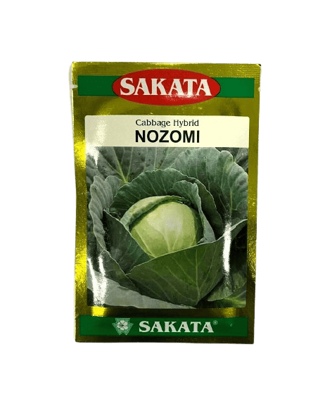 Cabbage Nazomi by Sakata Seeds Cabbage Nazomi by Sakata Seeds