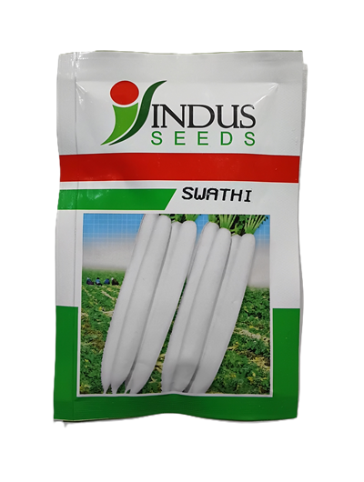 Radish SWATHI by INDUS SEEDS Radish SWATHI by INDUS SEEDS