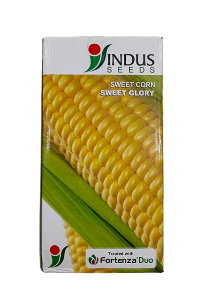 Sweetcorn SWEET GLORY by INDUS SEEDS Sweetcorn SWEET GLORY by INDUS SEEDS