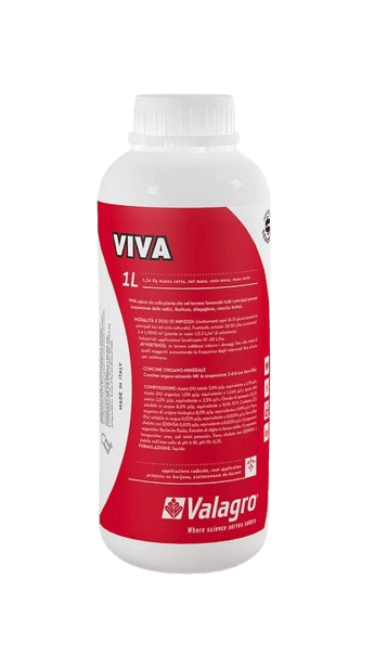 Viva Viva