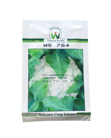 Welcome Cauliflower Seeds WS 764 Welcome Cauliflower Seeds WS 764