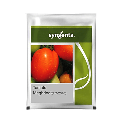 Tomato Hybrid Meghdoot (TO-2048)