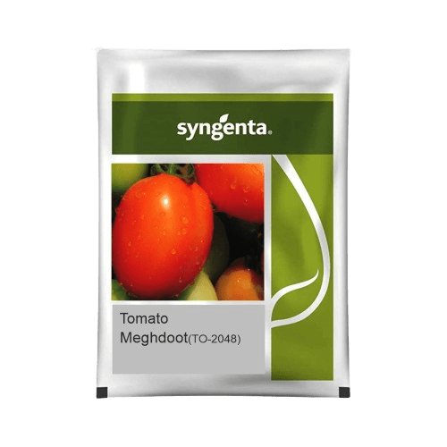 Tomato Hybrid Meghdoot (TO-2048) Tomato Hybrid Meghdoot (TO-2048)